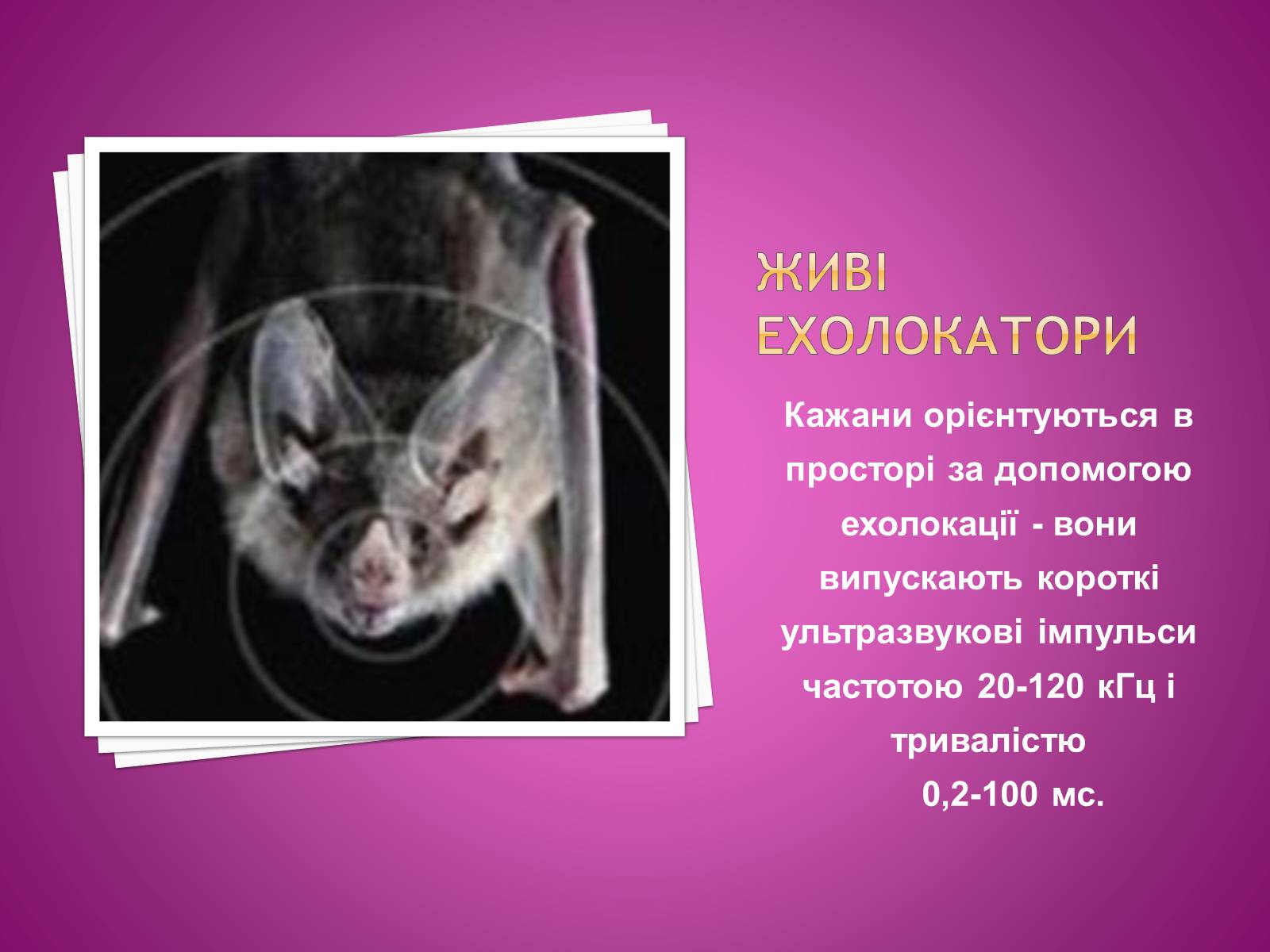 Презентація на тему «Ультразвук та інфразвук» (варіант 2) - Слайд #4 Презентація на тему «Ультразвук та інфразвук» (варіант 2) - Слайд #4