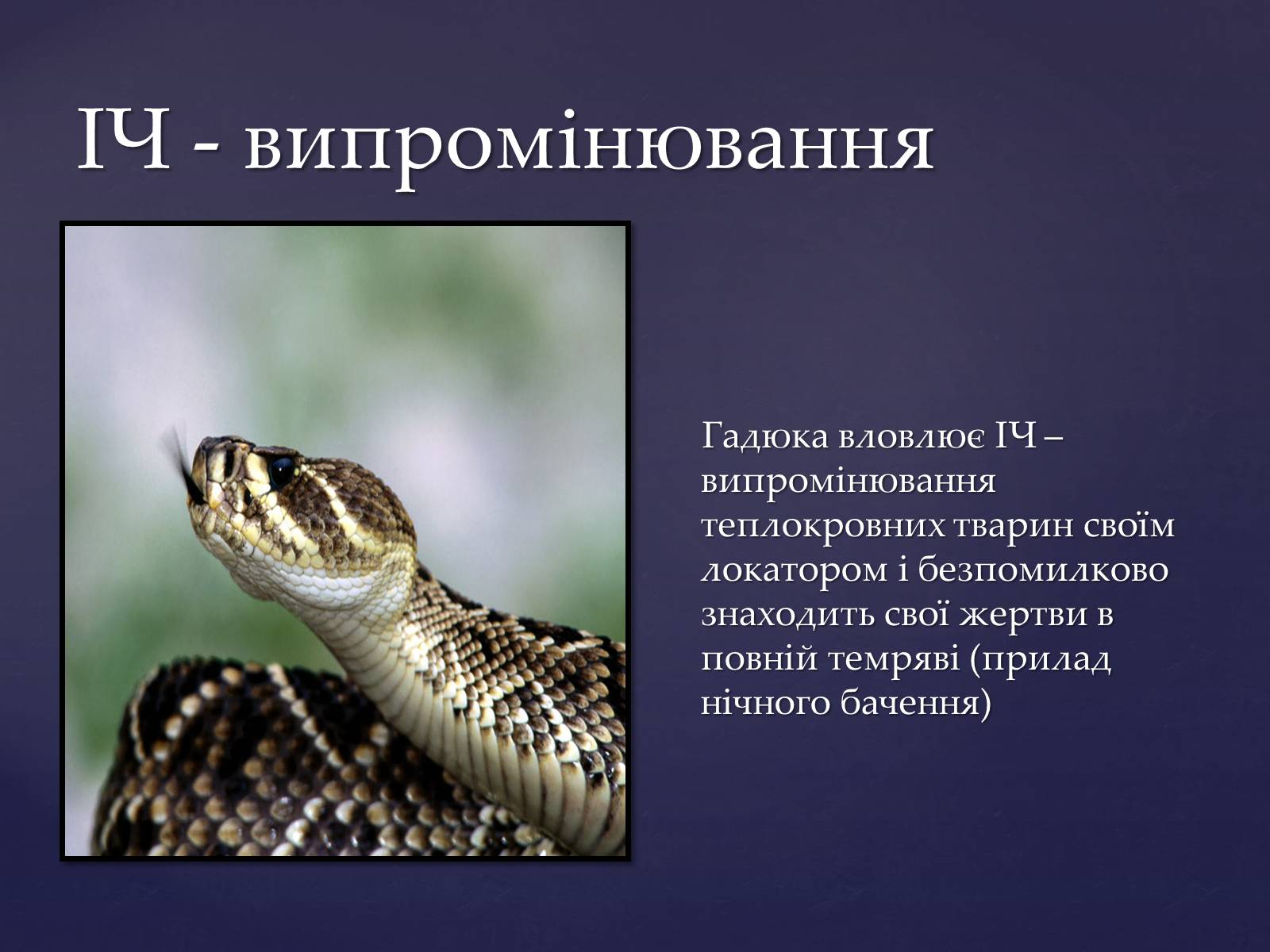 Презентація на тему «Електромагнітні хвилі в природі і техніці» (варіант 4) - Слайд #11 Презентація на тему «Електромагнітні хвилі в природі і техніці» (варіант 4) - Слайд #11