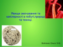 Презентація на тему «Явище змочування та капілярності в побуті»