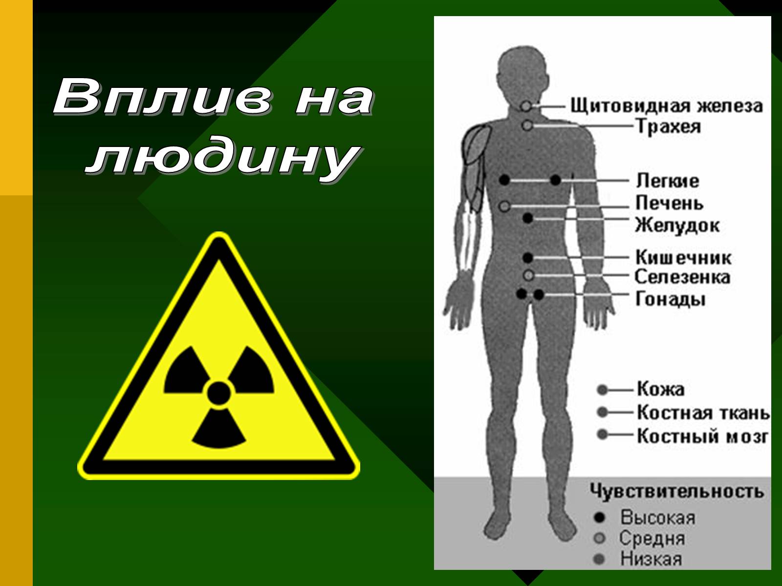 Презентація на тему «Радіоактивність. Види радіоактивного випромінювання» (варіант 2) - Слайд #18 Презентація на тему «Радіоактивність. Види радіоактивного випромінювання» (варіант 2) - Слайд #18