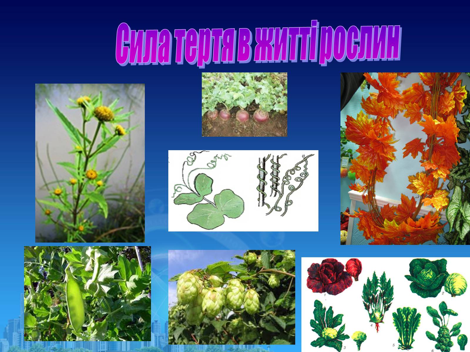 Презентація на тему «Сила тертя в природі» - Слайд #10 Презентація на тему «Сила тертя в природі» - Слайд #10
