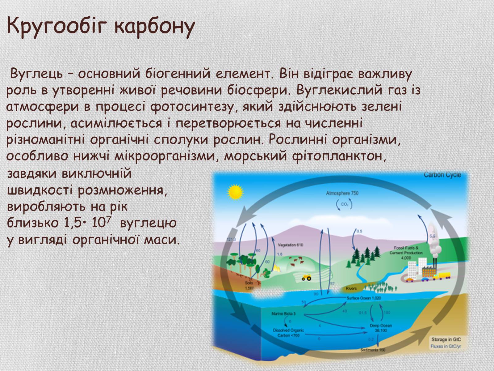 Презентація на тему «Колообіг речовин і потоки енергії як основні системоутворювальні чинники» (варіант 1) - Слайд #14 Презентація на тему «Колообіг речовин і потоки енергії як основні системоутворювальні чинники» (варіант 1) - Слайд #14