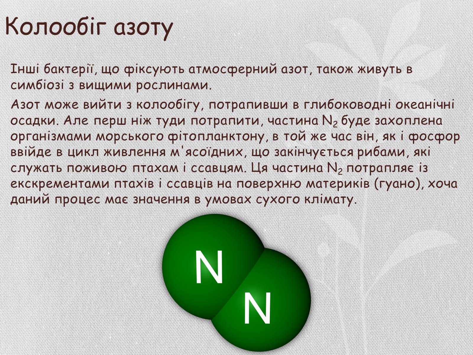 Презентація на тему «Колообіг речовин і потоки енергії як основні системоутворювальні чинники» (варіант 1) - Слайд #16 Презентація на тему «Колообіг речовин і потоки енергії як основні системоутворювальні чинники» (варіант 1) - Слайд #16
