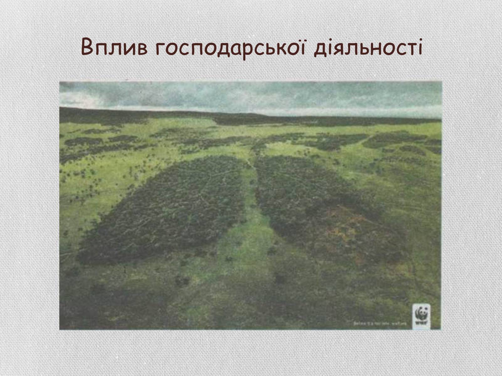 Презентація на тему «Колообіг речовин і потоки енергії як основні системоутворювальні чинники» (варіант 1) - Слайд #24 Презентація на тему «Колообіг речовин і потоки енергії як основні системоутворювальні чинники» (варіант 1) - Слайд #24