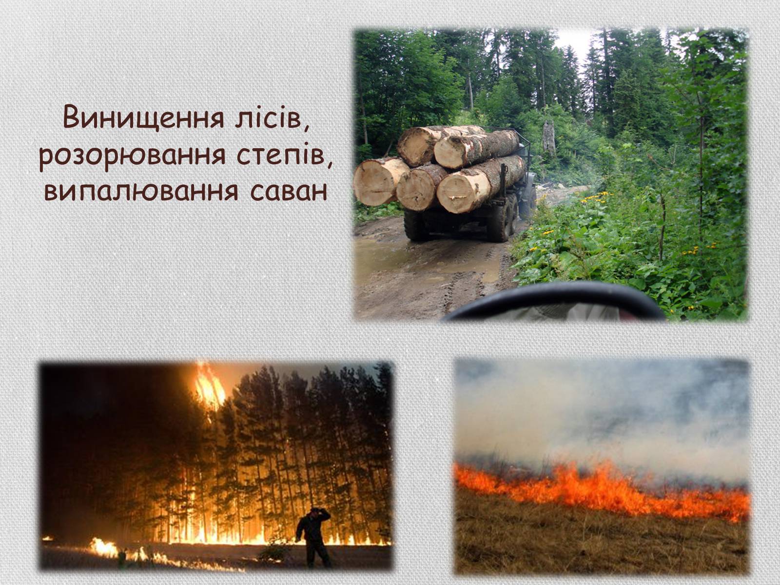 Презентація на тему «Колообіг речовин і потоки енергії як основні системоутворювальні чинники» (варіант 1) - Слайд #27 Презентація на тему «Колообіг речовин і потоки енергії як основні системоутворювальні чинники» (варіант 1) - Слайд #27