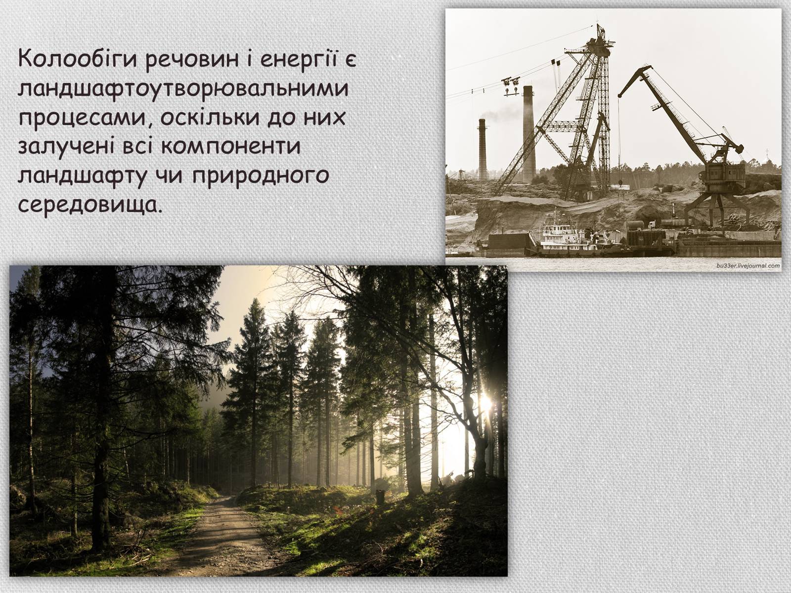 Презентація на тему «Колообіг речовин і потоки енергії як основні системоутворювальні чинники» (варіант 1) - Слайд #3 Презентація на тему «Колообіг речовин і потоки енергії як основні системоутворювальні чинники» (варіант 1) - Слайд #3