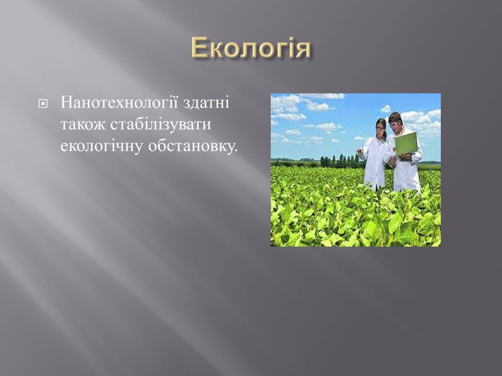 Презентація на тему «Нанотехнології» (варіант 1) - Слайд #10 Презентація на тему «Нанотехнології» (варіант 1) - Слайд #10