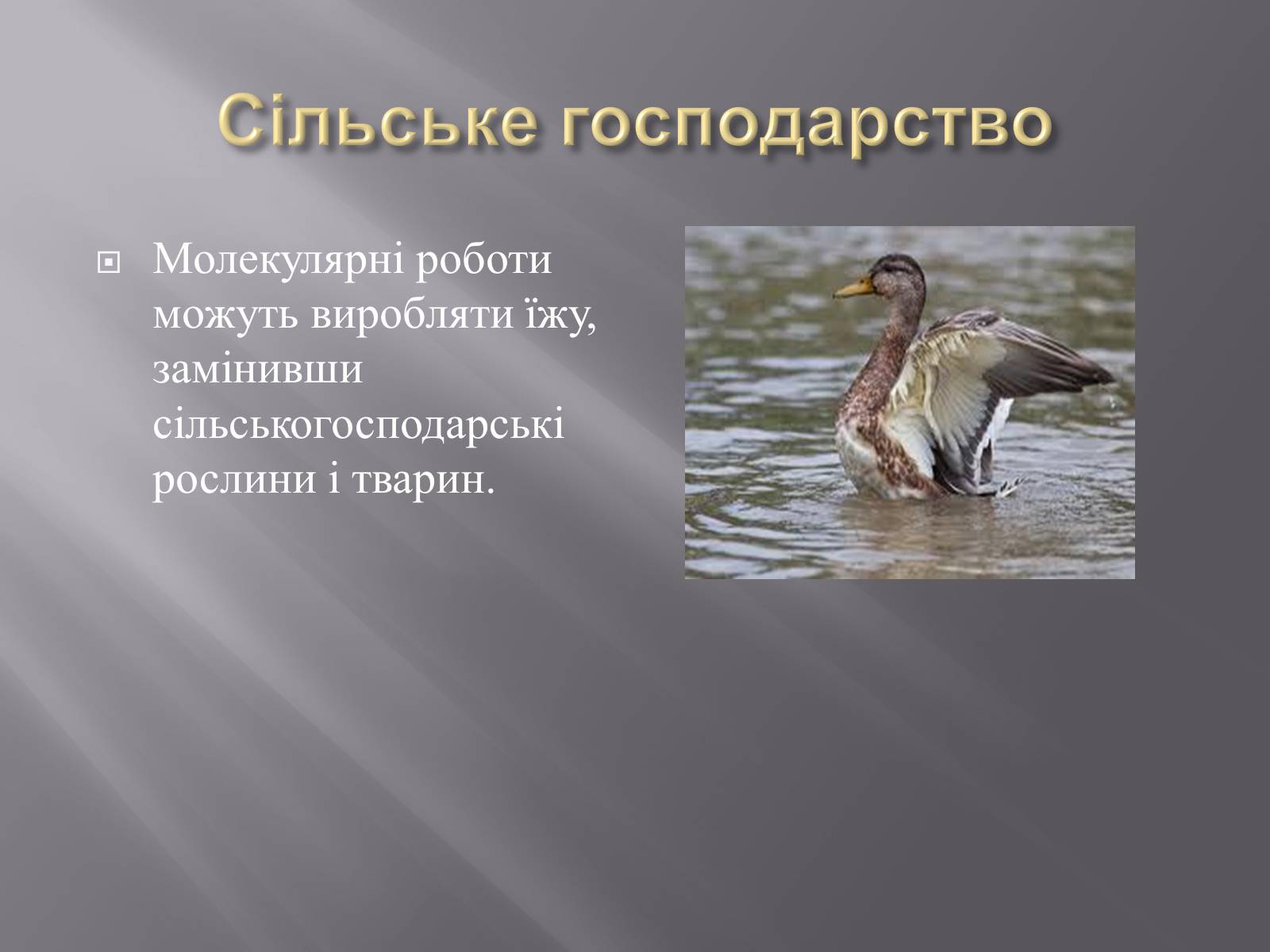 Презентація на тему «Нанотехнології» (варіант 1) - Слайд #11 Презентація на тему «Нанотехнології» (варіант 1) - Слайд #11