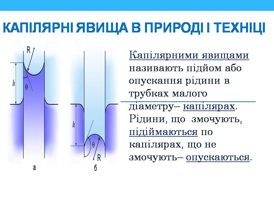 Презентація на тему «Властивості поверхні рідин» - Слайд #15