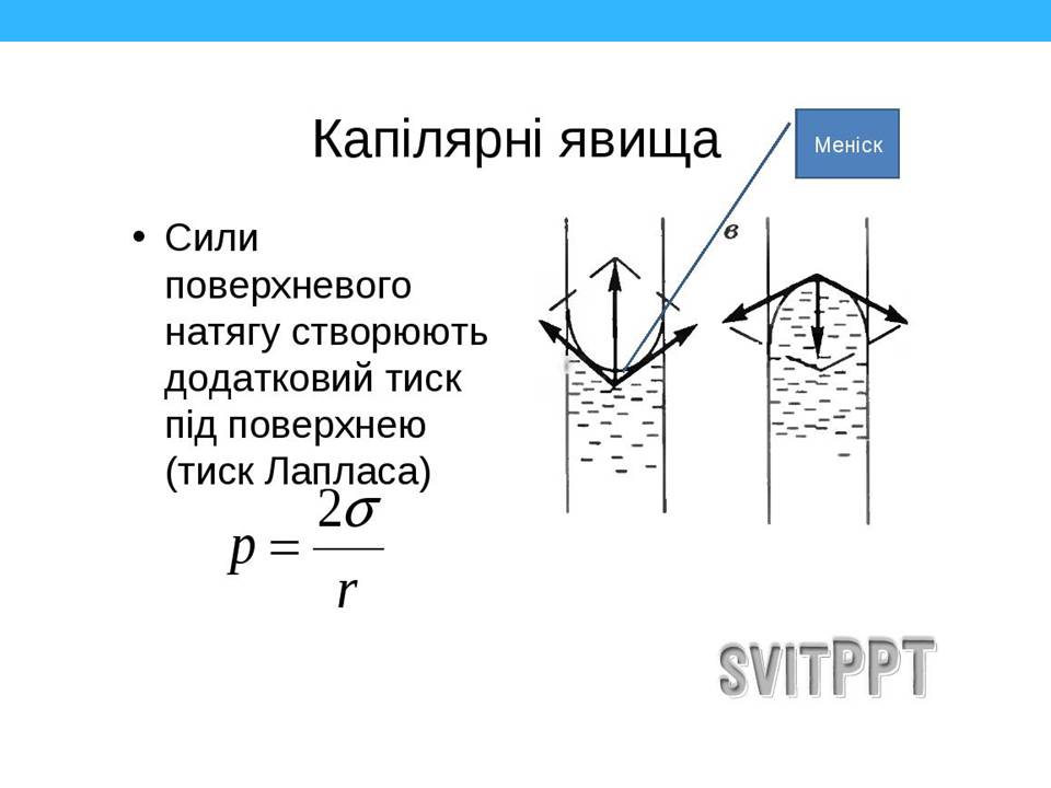 Презентація на тему «Властивості поверхні рідин» - Слайд #17