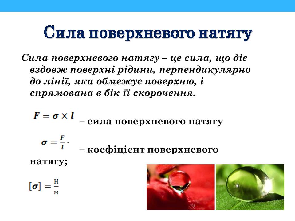 Презентація на тему «Властивості поверхні рідин» - Слайд #6