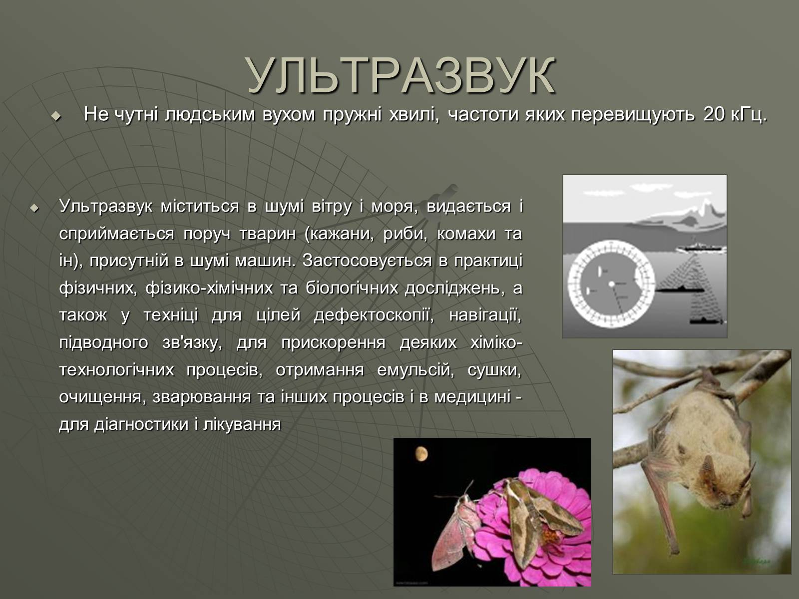 Презентація на тему «УЛЬТРАЗВУК та ІНФРАЗВУК» (варіант 1) - Слайд #2 Презентація на тему «УЛЬТРАЗВУК та ІНФРАЗВУК» (варіант 1) - Слайд #2