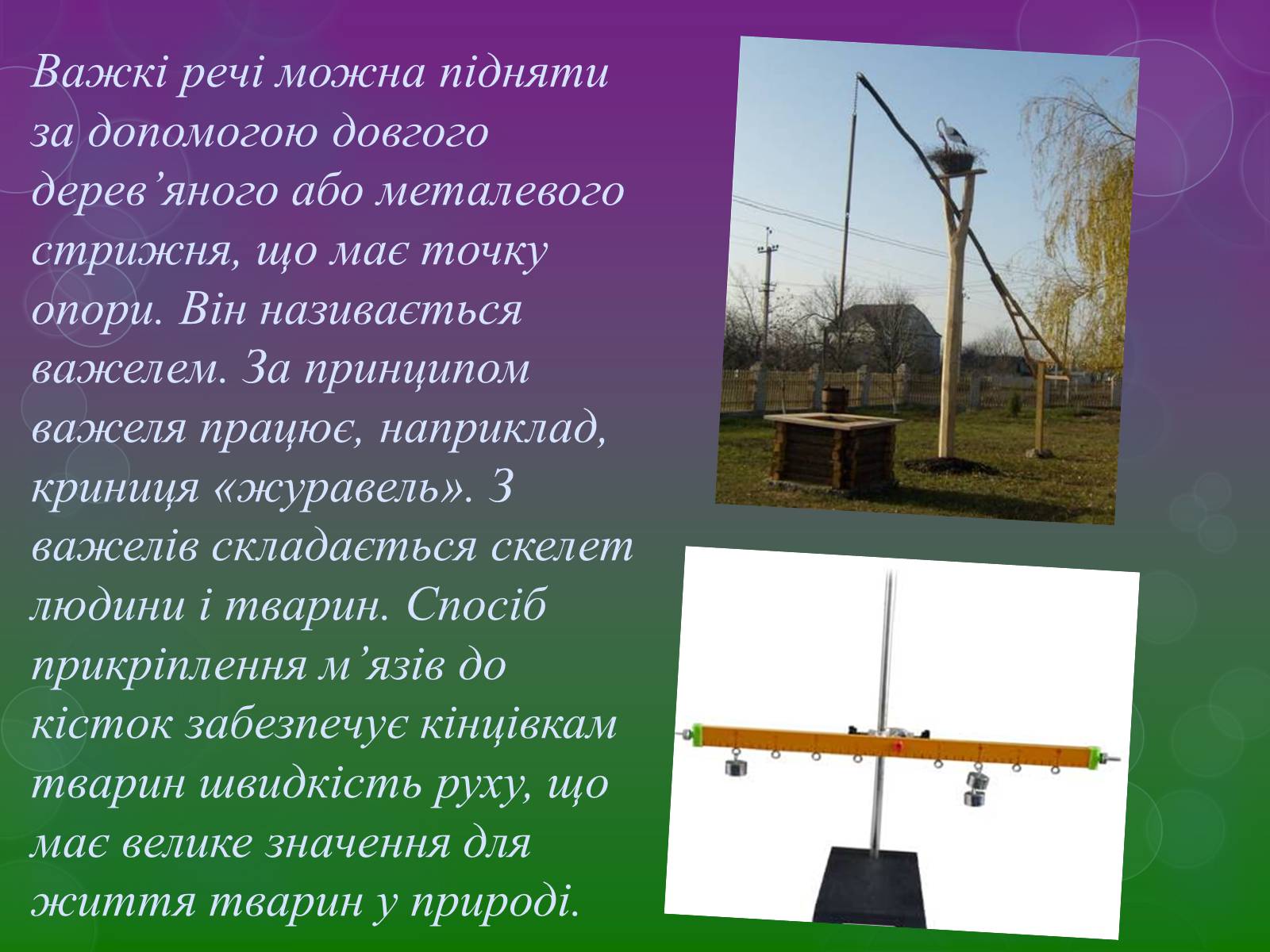 Презентація на тему «Прості механізми» (варіант 2) - Слайд #6 Презентація на тему «Прості механізми» (варіант 2) - Слайд #6
