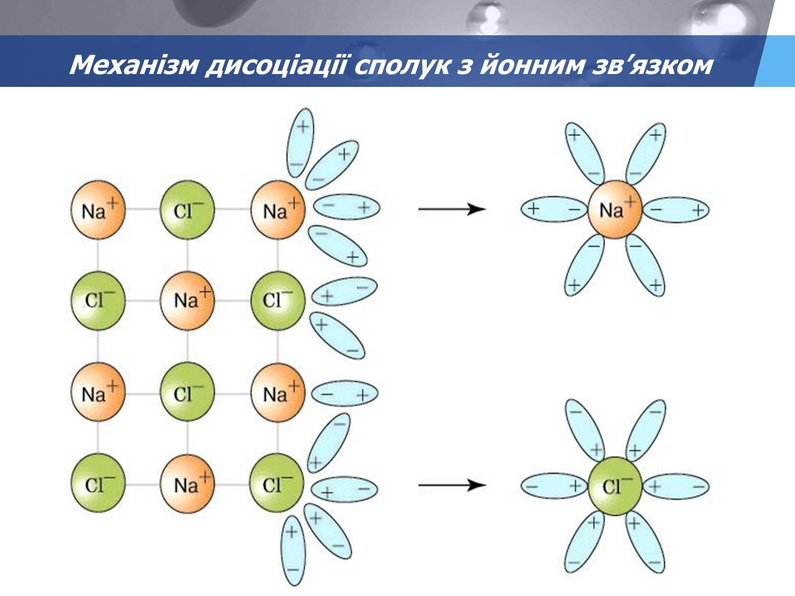 Презентація на тему «Електролітична дисоціація. Електроліти і неелектроліти» - Слайд #8 Презентація на тему «Електролітична дисоціація. Електроліти і неелектроліти» - Слайд #8