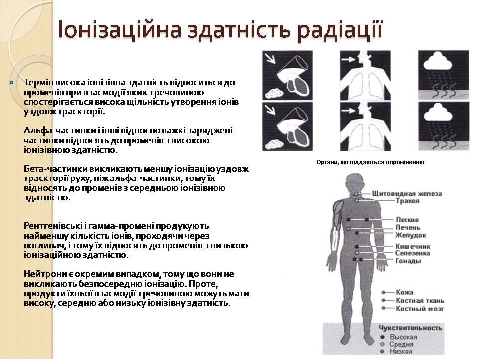 Презентація на тему «Дозиметрія» - Слайд #9 Презентація на тему «Дозиметрія» - Слайд #9