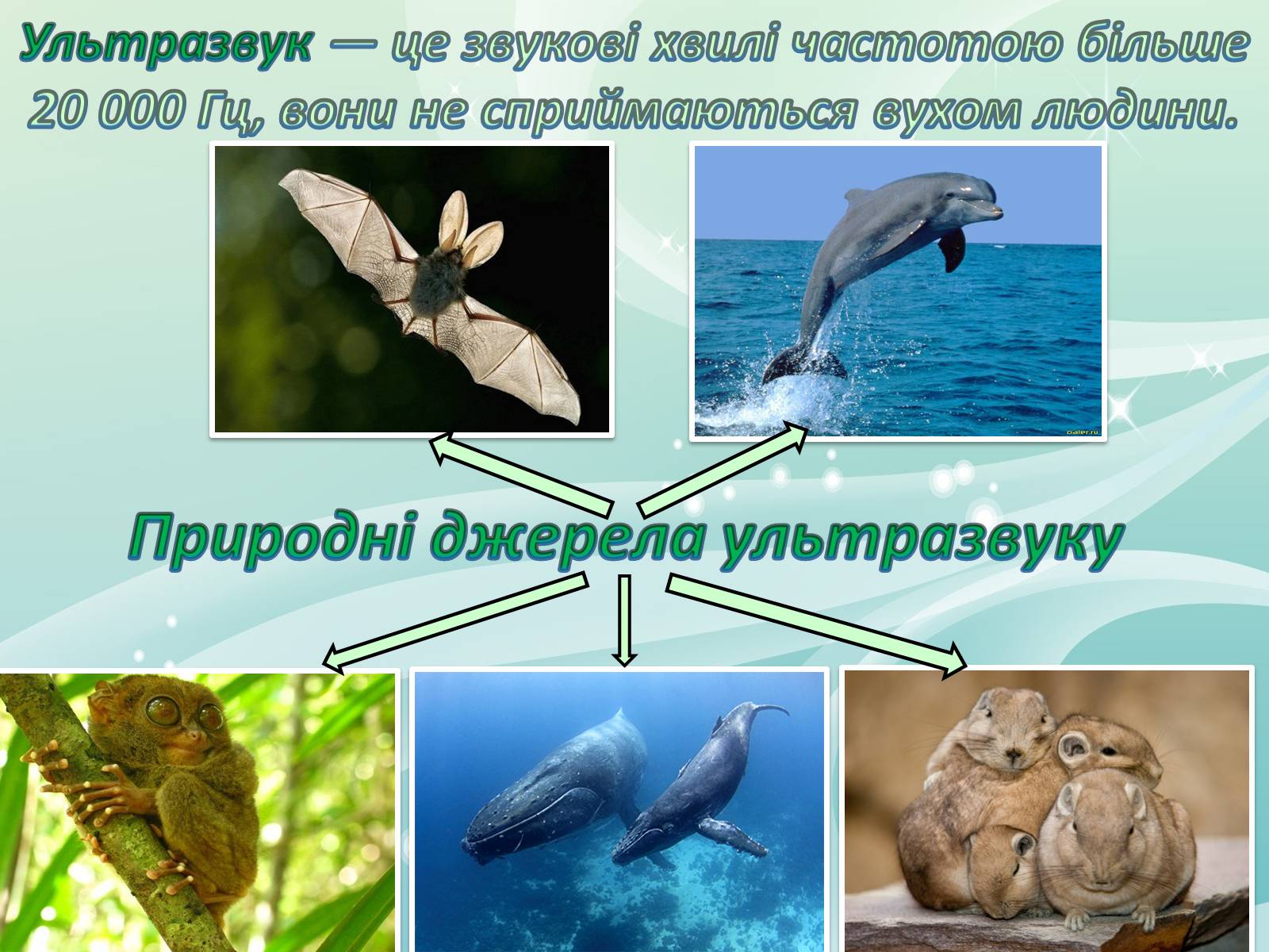 Презентація на тему «Звукові хвилі» (варіант 1) - Слайд #4 Презентація на тему «Звукові хвилі» (варіант 1) - Слайд #4
