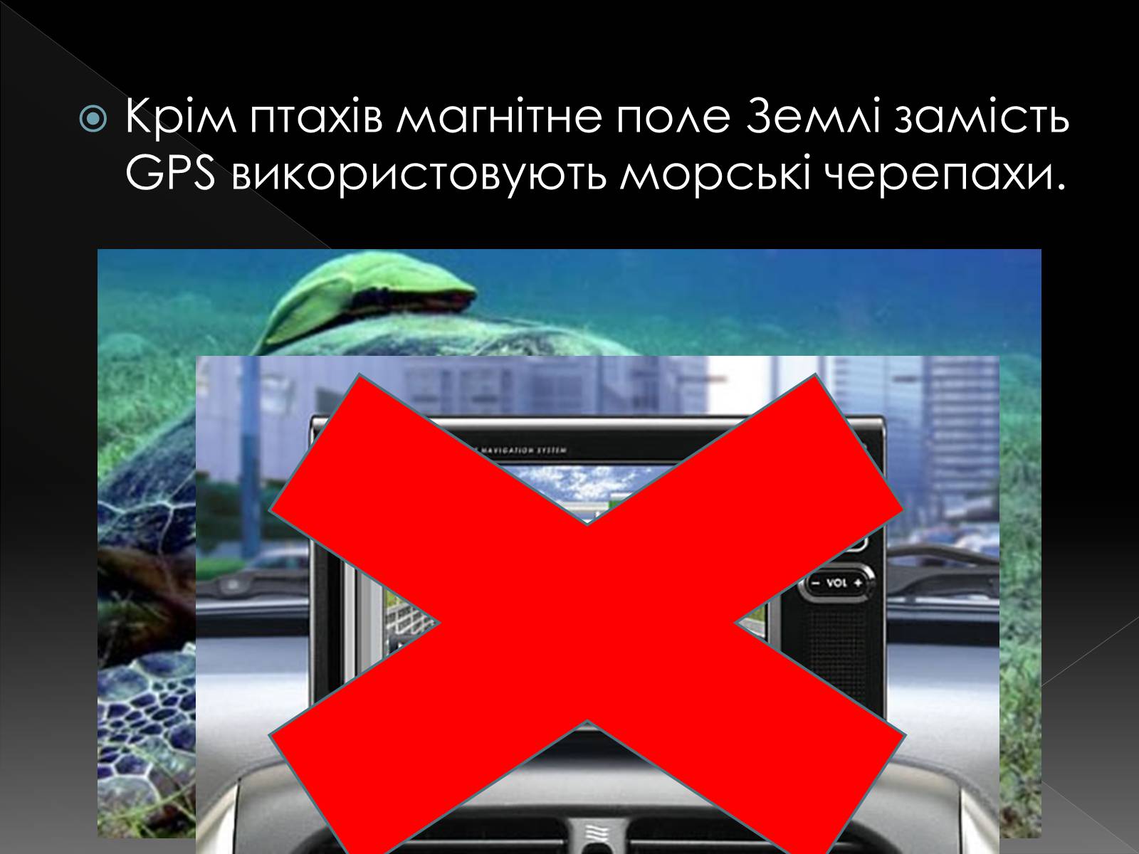 Презентація на тему «Магнітне поле» (варіант 4) - Слайд #11 Презентація на тему «Магнітне поле» (варіант 4) - Слайд #11