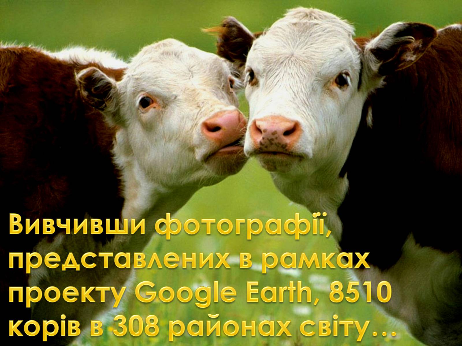 Презентація на тему «Магнітне поле» (варіант 4) - Слайд #12 Презентація на тему «Магнітне поле» (варіант 4) - Слайд #12