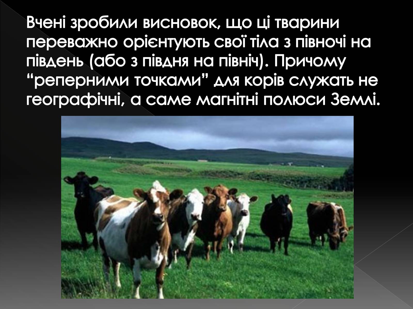 Презентація на тему «Магнітне поле» (варіант 4) - Слайд #13 Презентація на тему «Магнітне поле» (варіант 4) - Слайд #13