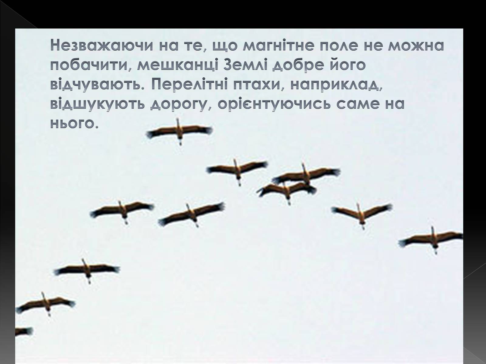 Презентація на тему «Магнітне поле» (варіант 4) - Слайд #8 Презентація на тему «Магнітне поле» (варіант 4) - Слайд #8