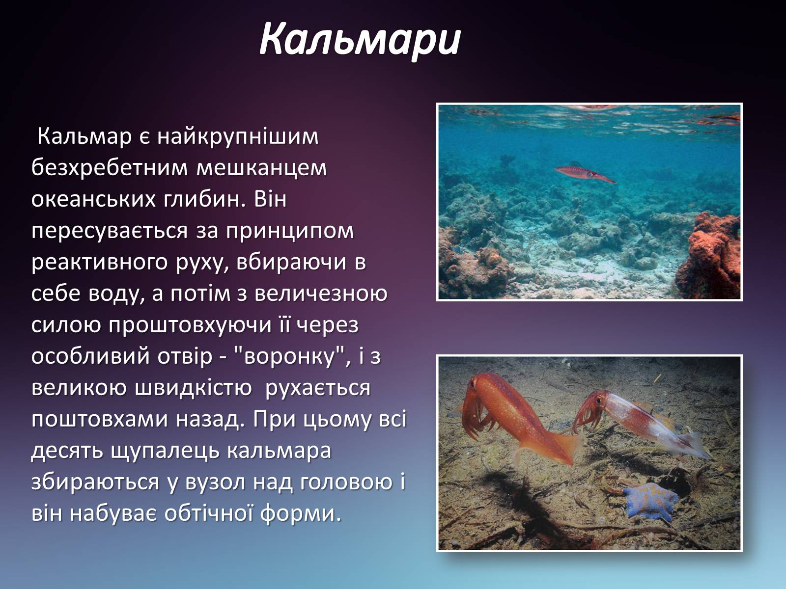 Презентація на тему «Реактивний рух у природі» - Слайд #4 Презентація на тему «Реактивний рух у природі» - Слайд #4