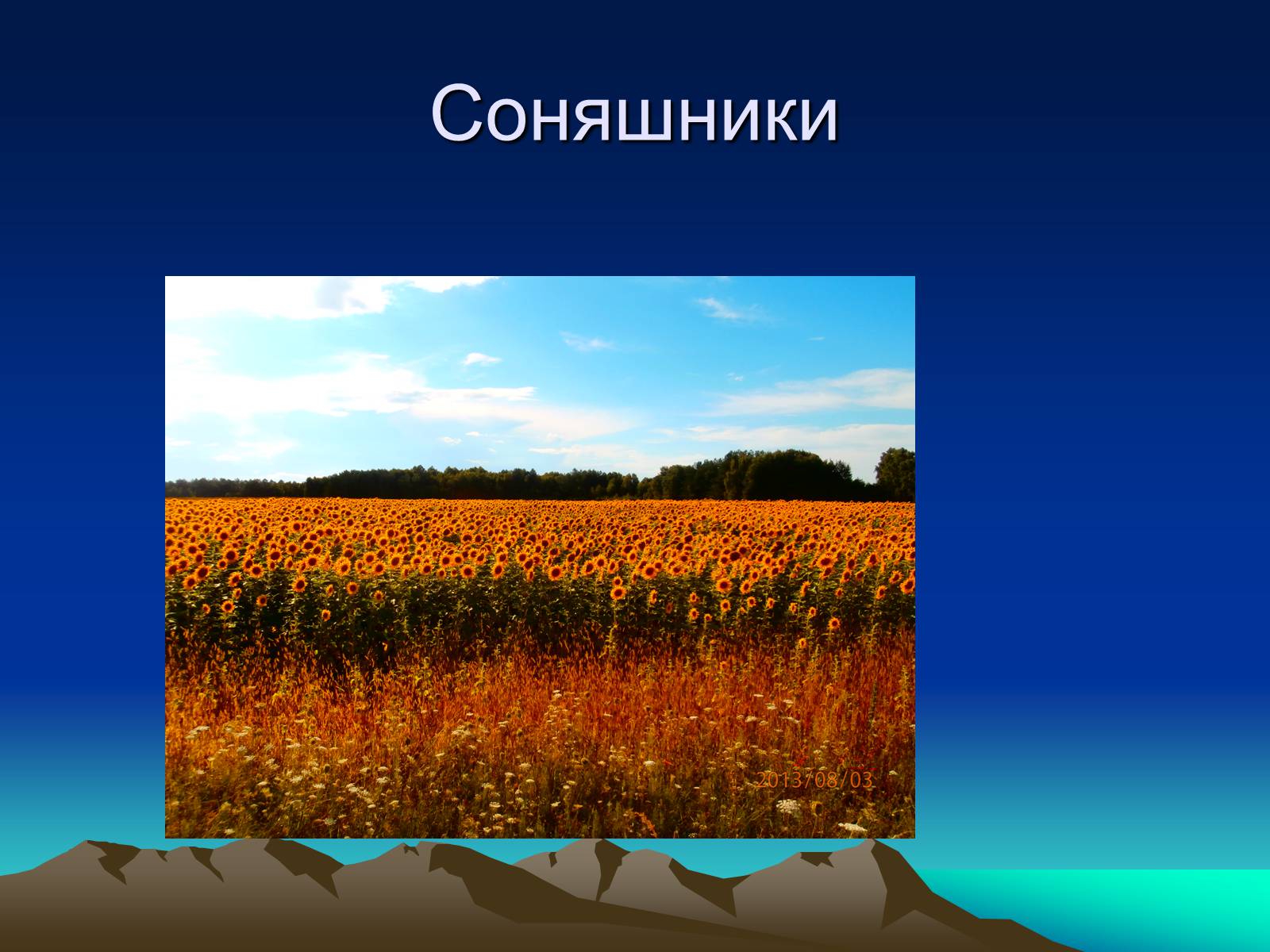 Презентація на тему «Природні Явища та механічний рух» - Слайд #17 Презентація на тему «Природні Явища та механічний рух» - Слайд #17