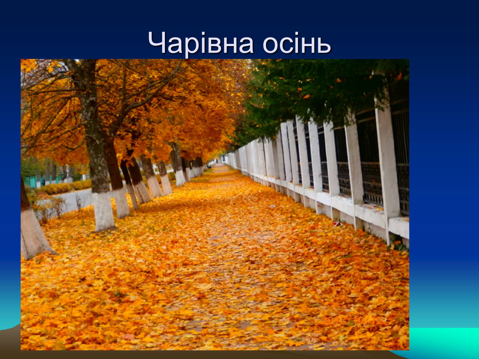 Презентація на тему «Природні Явища та механічний рух» - Слайд #21 Презентація на тему «Природні Явища та механічний рух» - Слайд #21