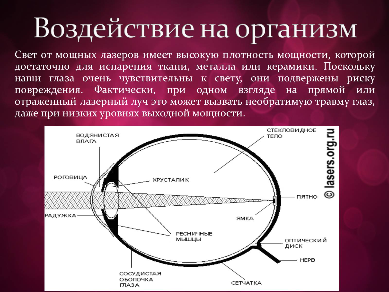 Презентація на тему «Лазери та їх застосування» (варіант 3) - Слайд #24 Презентація на тему «Лазери та їх застосування» (варіант 3) - Слайд #24