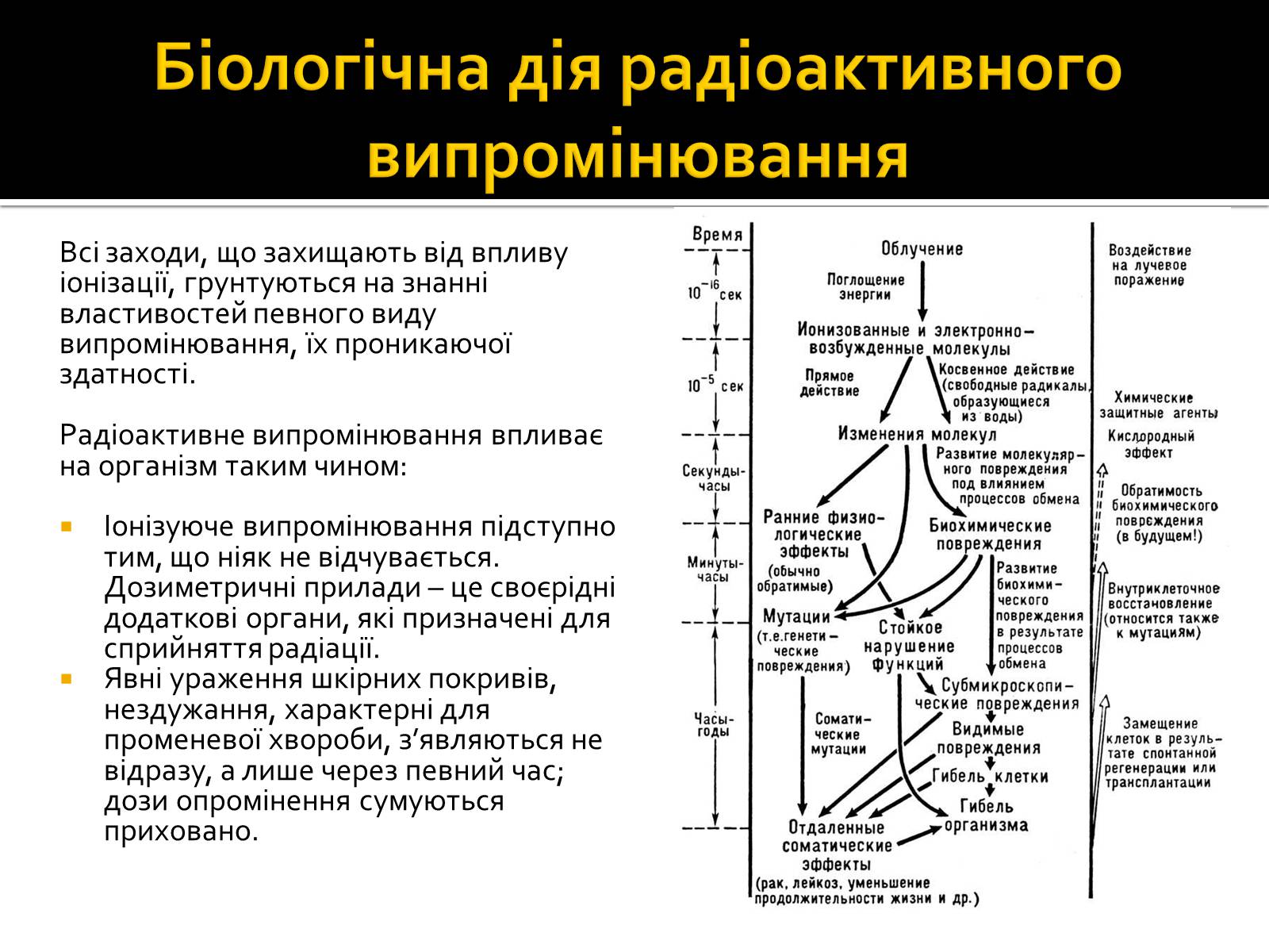 Презентація на тему «Радіоактивність» (варіант 3) - Слайд #12 Презентація на тему «Радіоактивність» (варіант 3) - Слайд #12