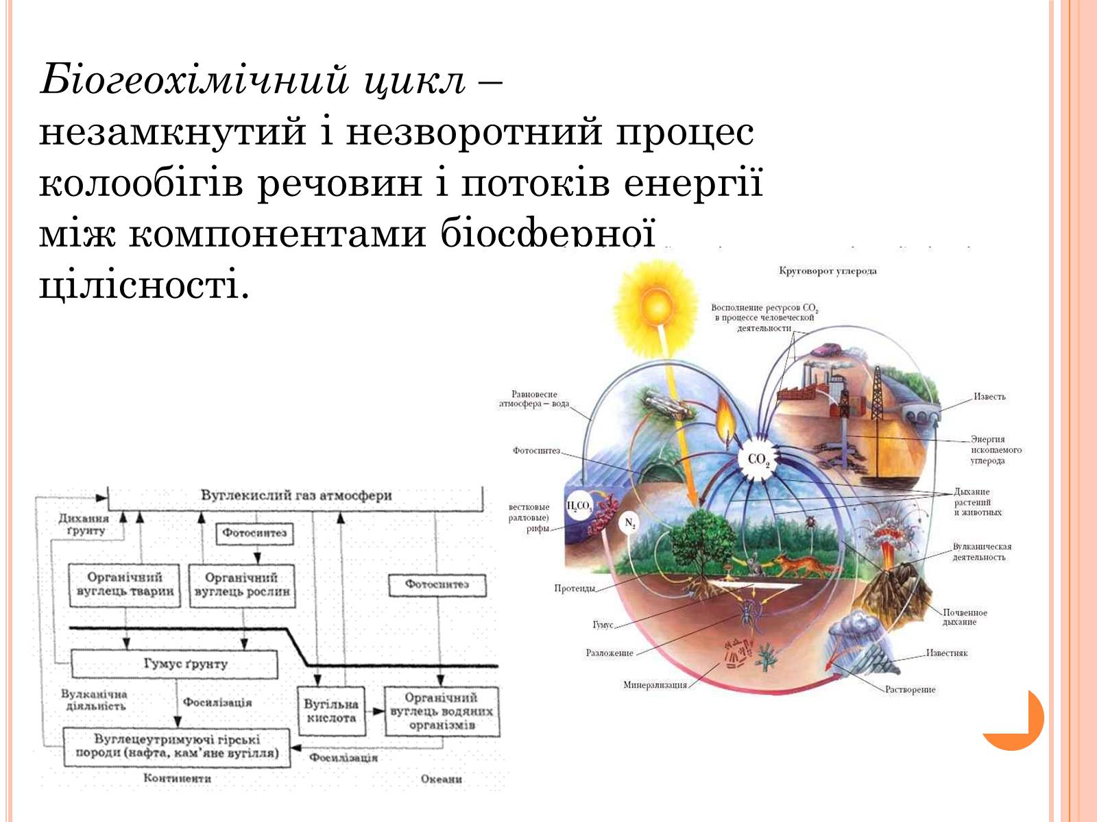 Презентація на тему «Колообіг речовин і потоки енергії як основні системоутворювальні чинники» (варіант 2) - Слайд #8 Презентація на тему «Колообіг речовин і потоки енергії як основні системоутворювальні чинники» (варіант 2) - Слайд #8