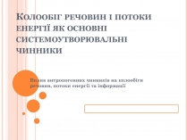 Презентація на тему «Колообіг речовин і потоки енергії як основні системоутворювальні чинники» (варіант 2)