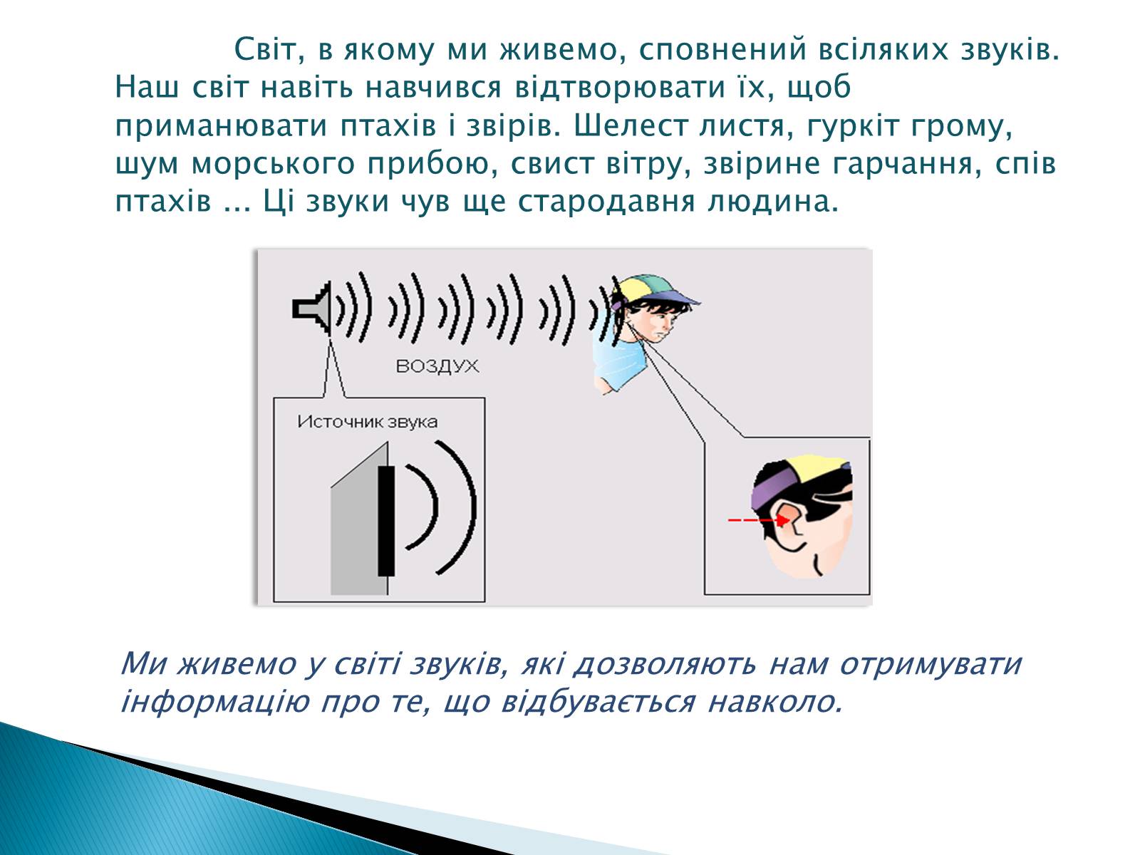 Презентація на тему «Джерела звуку. Звукові коливання» - Слайд #3 Презентація на тему «Джерела звуку. Звукові коливання» - Слайд #3