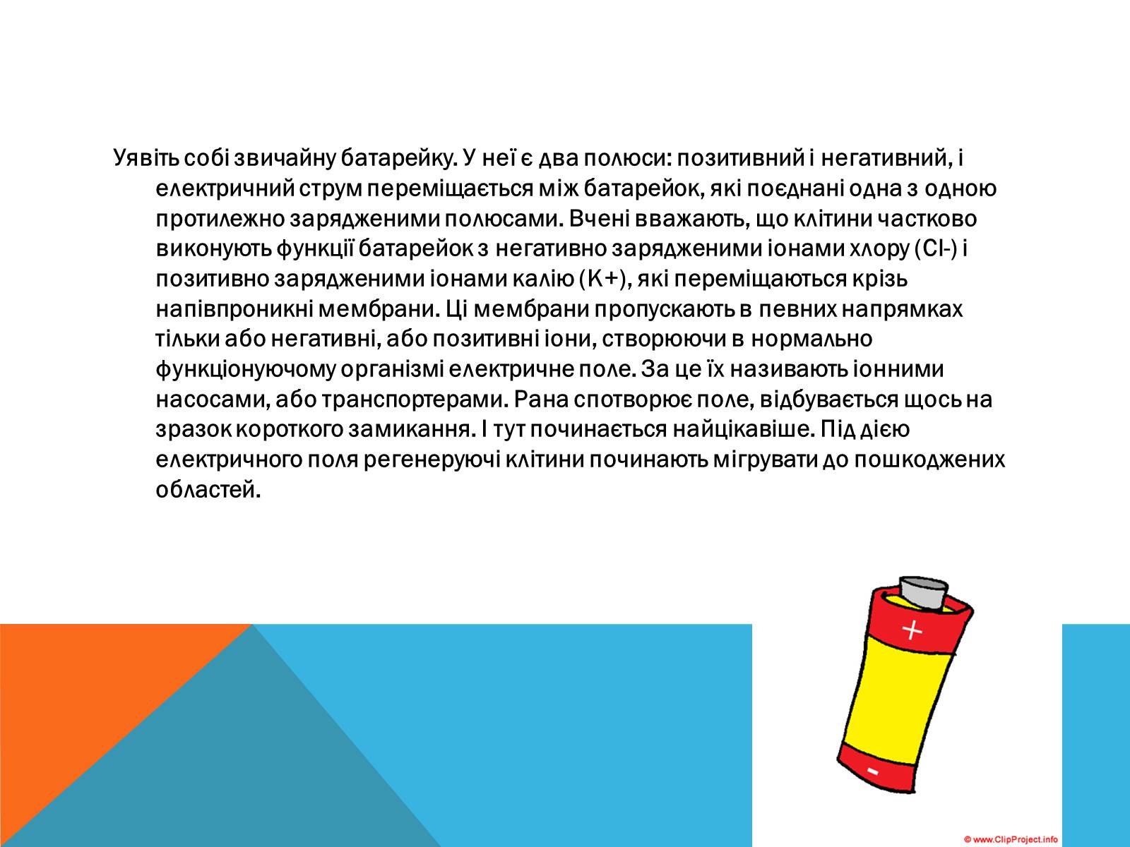 Презентація на тему «Електричний струм у медицині» - Слайд #10 Презентація на тему «Електричний струм у медицині» - Слайд #10