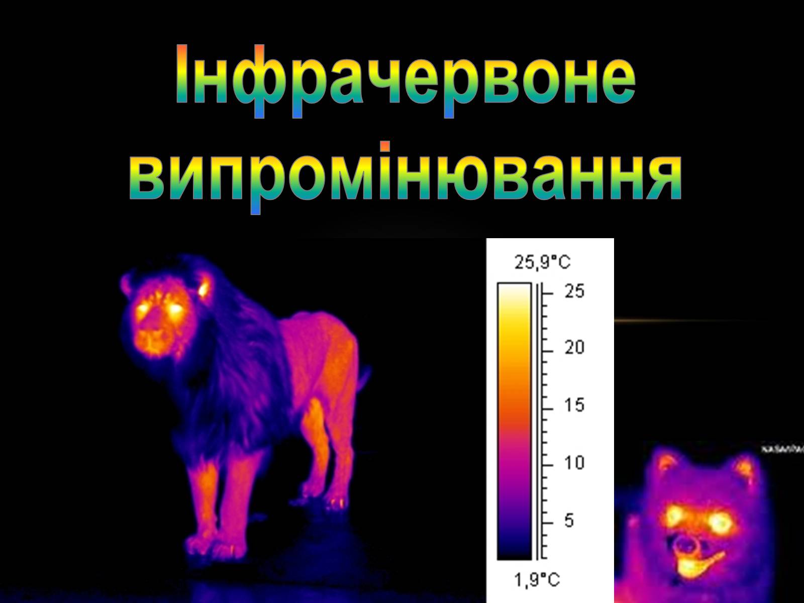 Презентація на тему «Інфрачервоне випромінювання» (варіант 1) - Слайд #1 Презентація на тему «Інфрачервоне випромінювання» (варіант 1) - Слайд #1
