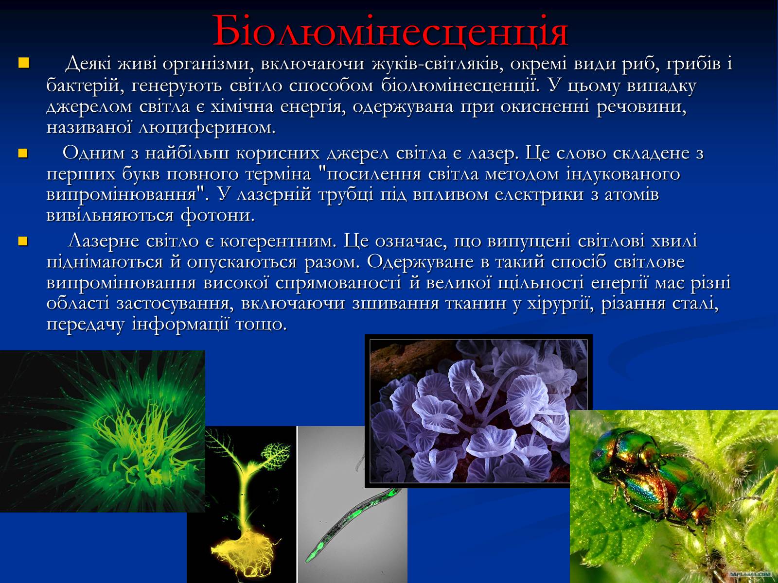 Презентація на тему «Властивості й дії світла» - Слайд #7 Презентація на тему «Властивості й дії світла» - Слайд #7