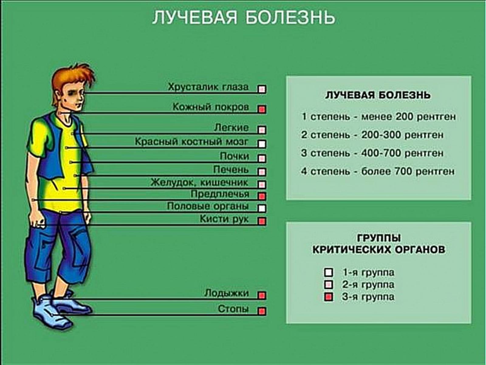 Презентація на тему «Вплив радіоактивного випромінювання на живі організми» (варіант 3) - Слайд #10 Презентація на тему «Вплив радіоактивного випромінювання на живі організми» (варіант 3) - Слайд #10