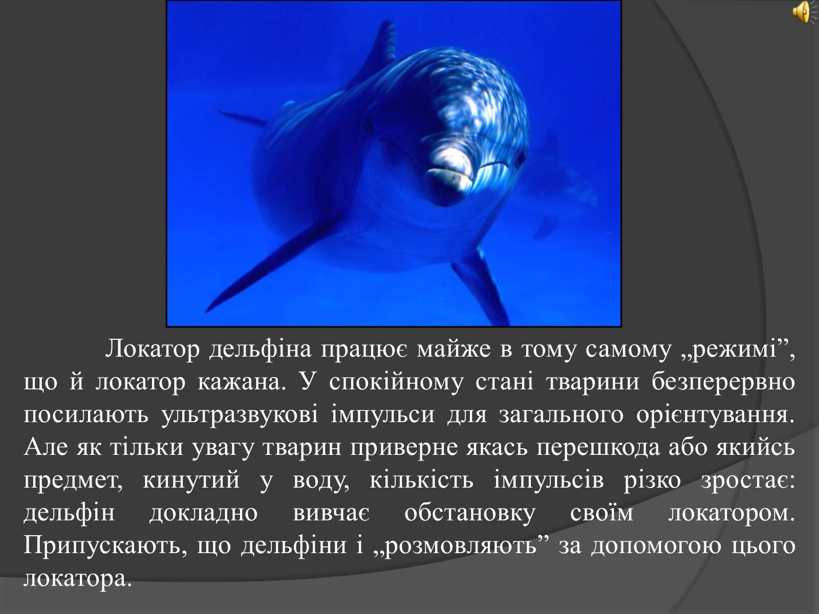 Презентація на тему «Ультразвук» (варіант 1) - Слайд #7 Презентація на тему «Ультразвук» (варіант 1) - Слайд #7
