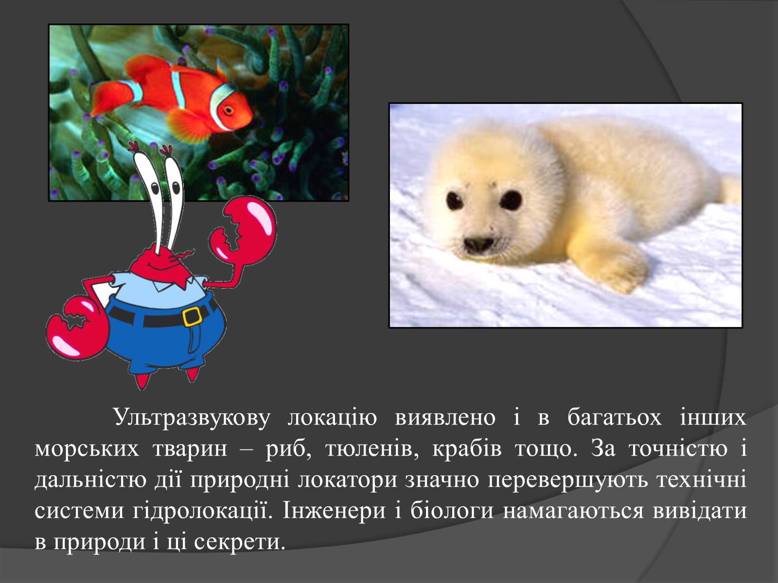 Презентація на тему «Ультразвук» (варіант 1) - Слайд #8 Презентація на тему «Ультразвук» (варіант 1) - Слайд #8