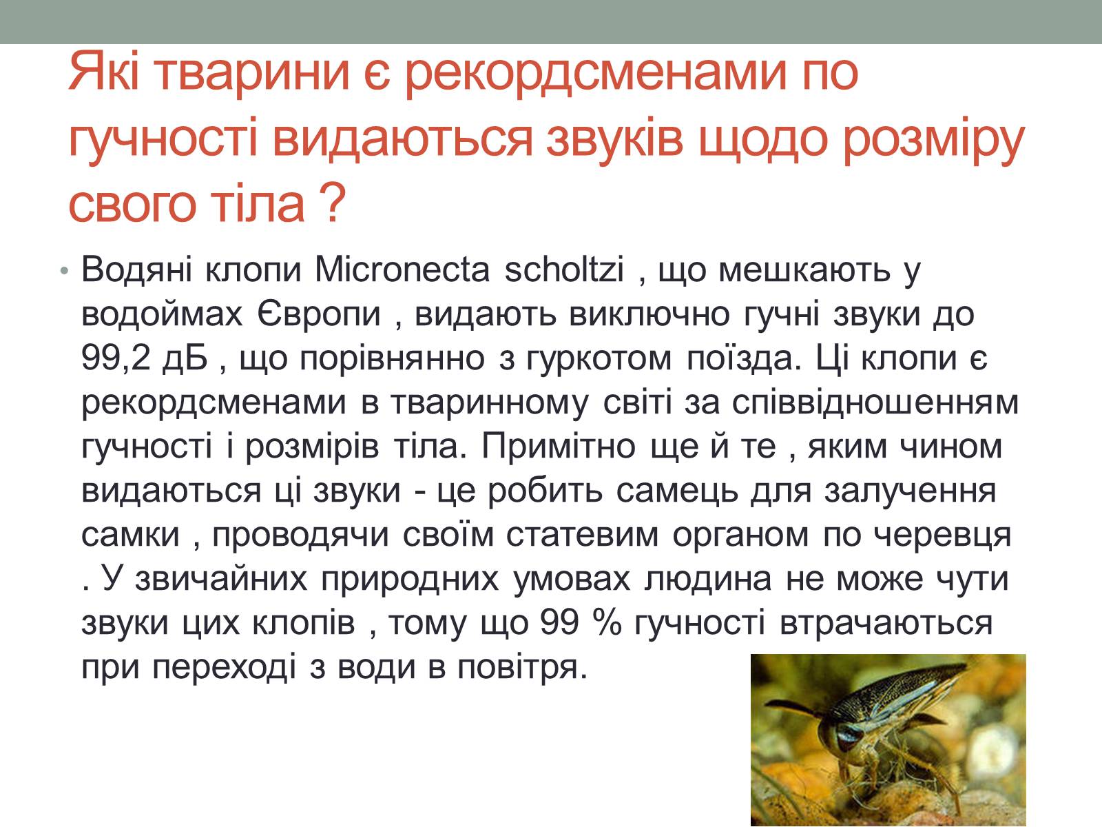Презентація на тему «Цікаві факти про звук» - Слайд #3 Презентація на тему «Цікаві факти про звук» - Слайд #3