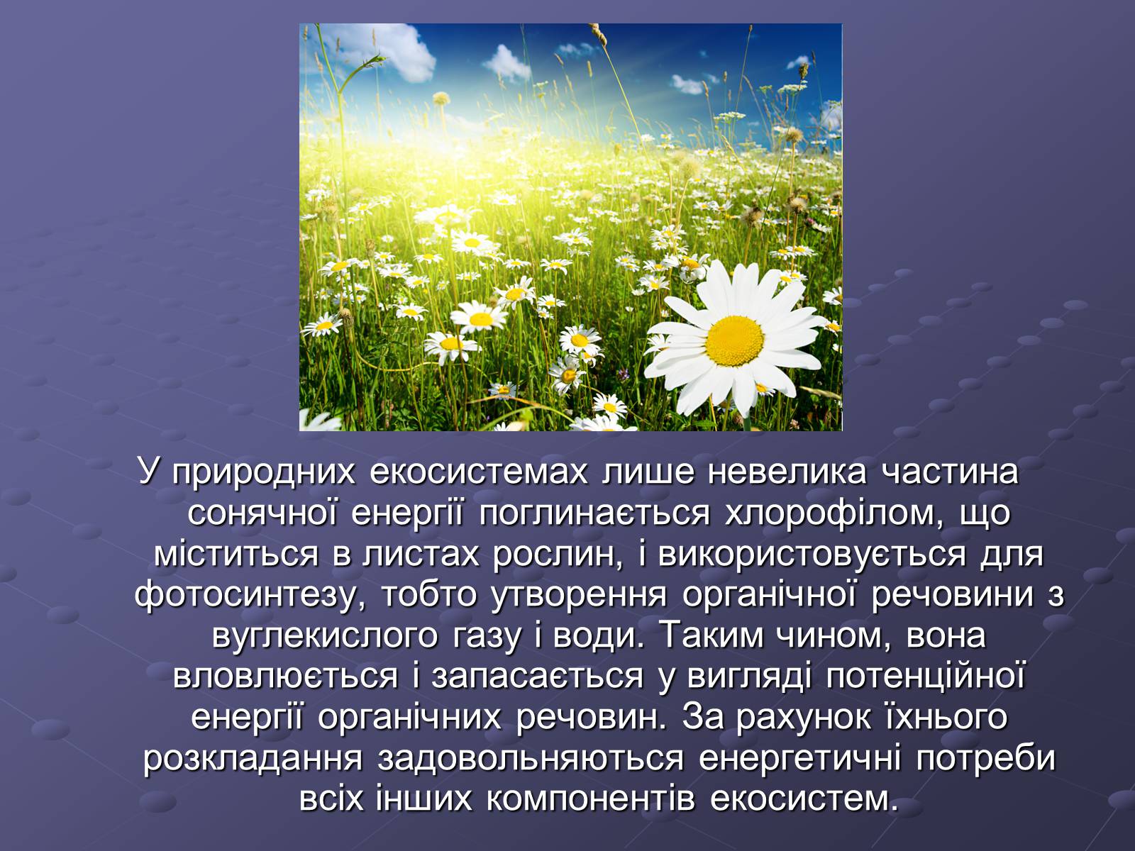 Презентація на тему «Альтернативні види енергії» - Слайд #7 Презентація на тему «Альтернативні види енергії» - Слайд #7