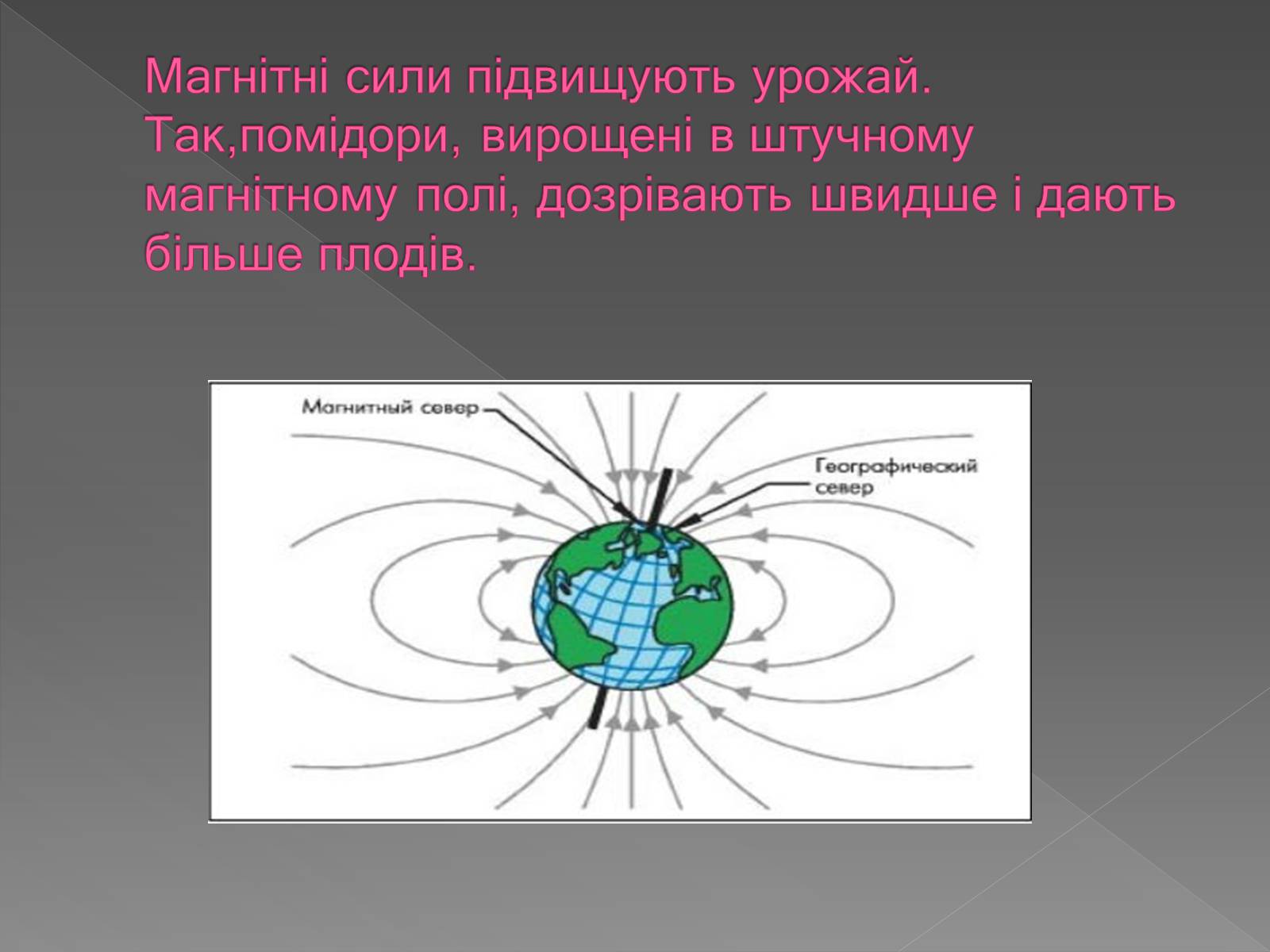 Презентація на тему «Вплив магнітного поля на живі організми» (варіант 3) - Слайд #5 Презентація на тему «Вплив магнітного поля на живі організми» (варіант 3) - Слайд #5