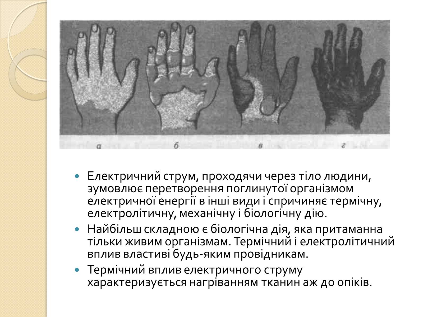 Презентація на тему «Вплив електричного поля на живі організми» (варіант 1) - Слайд #4 Презентація на тему «Вплив електричного поля на живі організми» (варіант 1) - Слайд #4