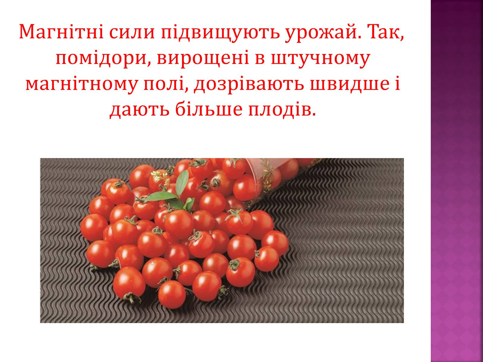 Презентація на тему «Вплив магнітного поля на живі організми» (варіант 5) - Слайд #5 Презентація на тему «Вплив магнітного поля на живі організми» (варіант 5) - Слайд #5