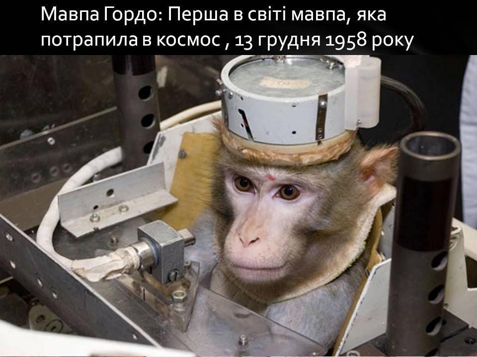 Презентація на тему «Розвиток космонавтики» (варіант 8) - Слайд #20 Презентація на тему «Розвиток космонавтики» (варіант 8) - Слайд #20