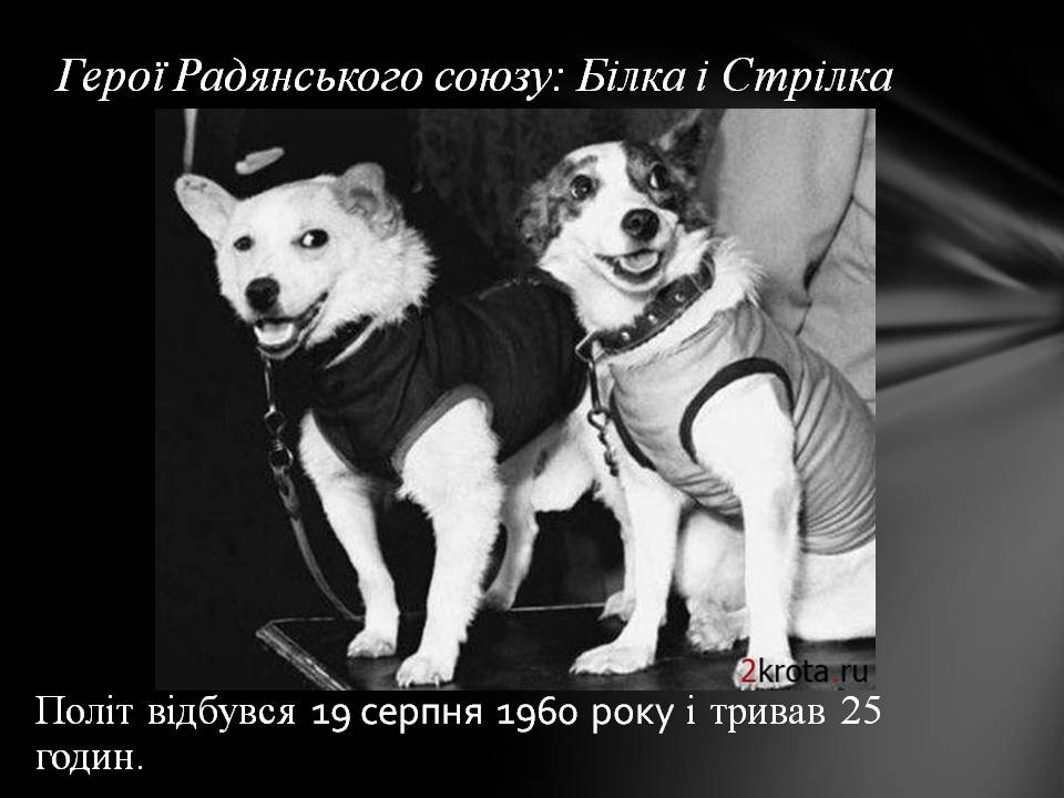 Презентація на тему «Розвиток космонавтики» (варіант 8) - Слайд #21 Презентація на тему «Розвиток космонавтики» (варіант 8) - Слайд #21