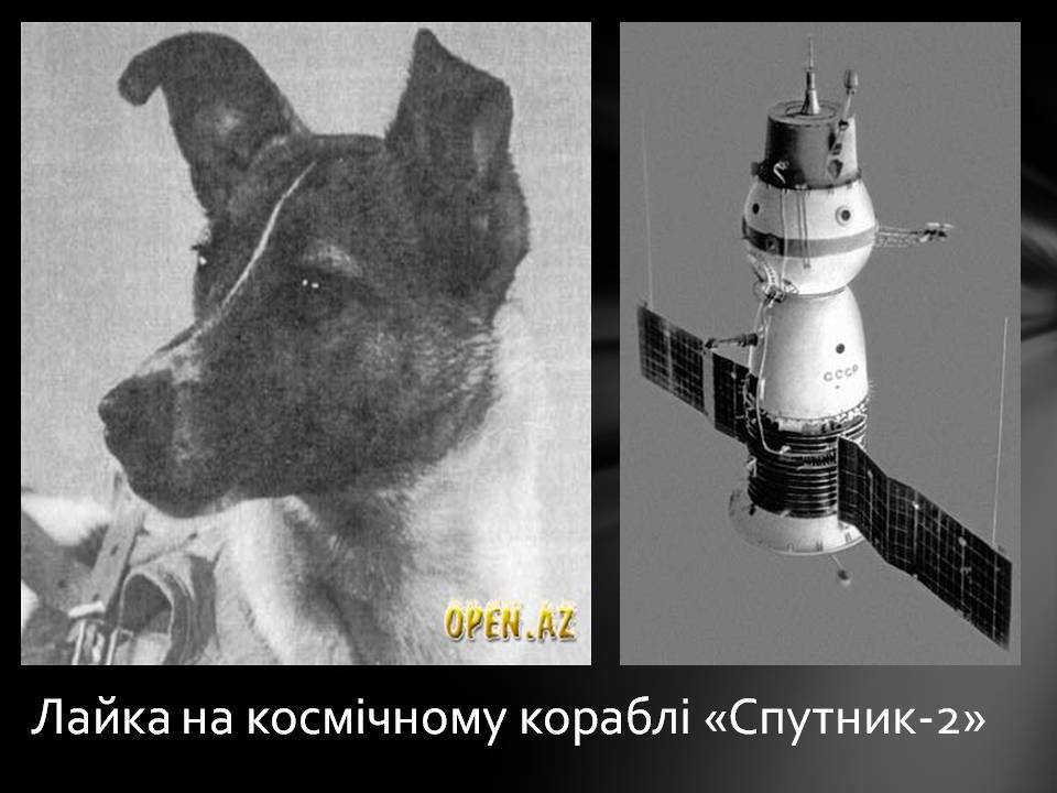 Презентація на тему «Розвиток космонавтики» (варіант 8) - Слайд #8 Презентація на тему «Розвиток космонавтики» (варіант 8) - Слайд #8