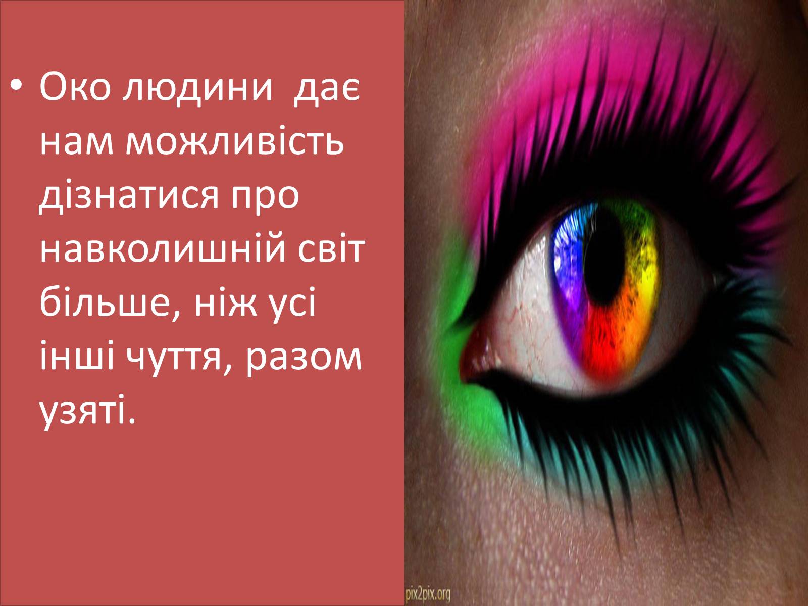 Презентація на тему «Оптика» (варіант 1) - Слайд #4 Презентація на тему «Оптика» (варіант 1) - Слайд #4