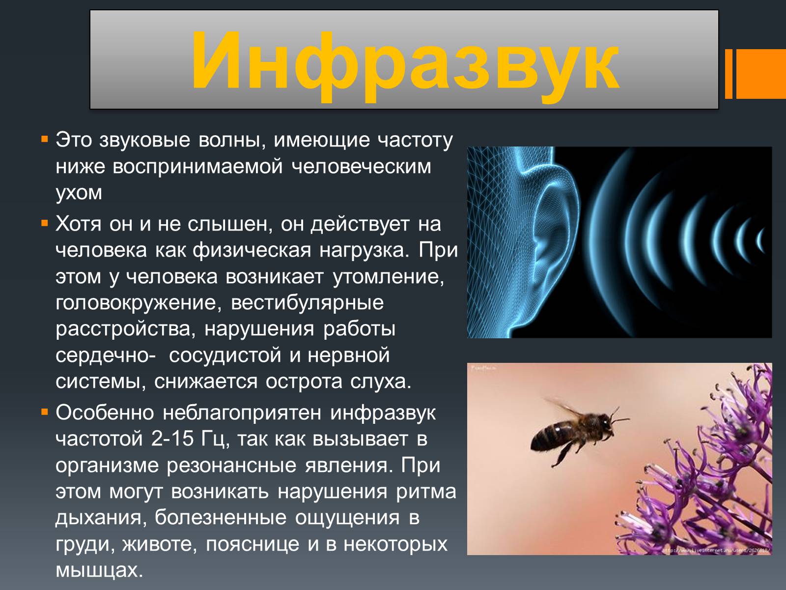 Презентація на тему «Акустический шум и его воздействие на организм человека» - Слайд #8 Презентація на тему «Акустический шум и его воздействие на организм человека» - Слайд #8