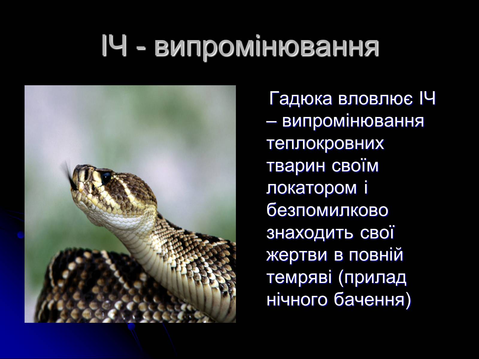 Презентація на тему «Електромагнітні хвилі в природі і техніці» (варіант 3) - Слайд #8 Презентація на тему «Електромагнітні хвилі в природі і техніці» (варіант 3) - Слайд #8
