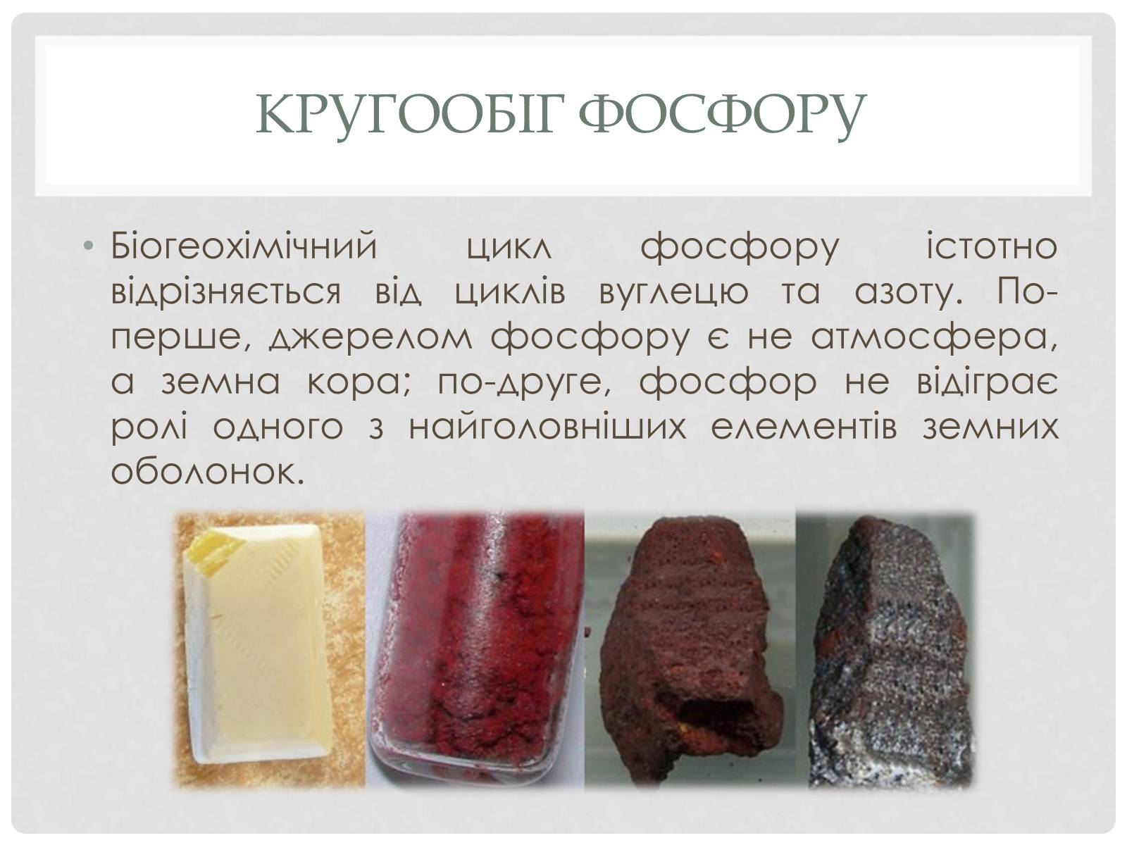 Презентація на тему «Кругообіг речовин і енергії» - Слайд #10 Презентація на тему «Кругообіг речовин і енергії» - Слайд #10